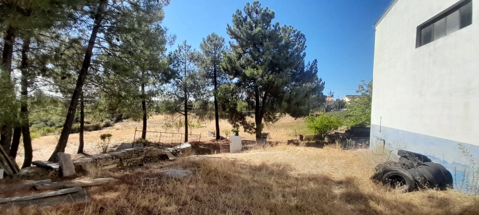 Armazém para Venda em Cebolais de Cima e Retaxo Foto 8