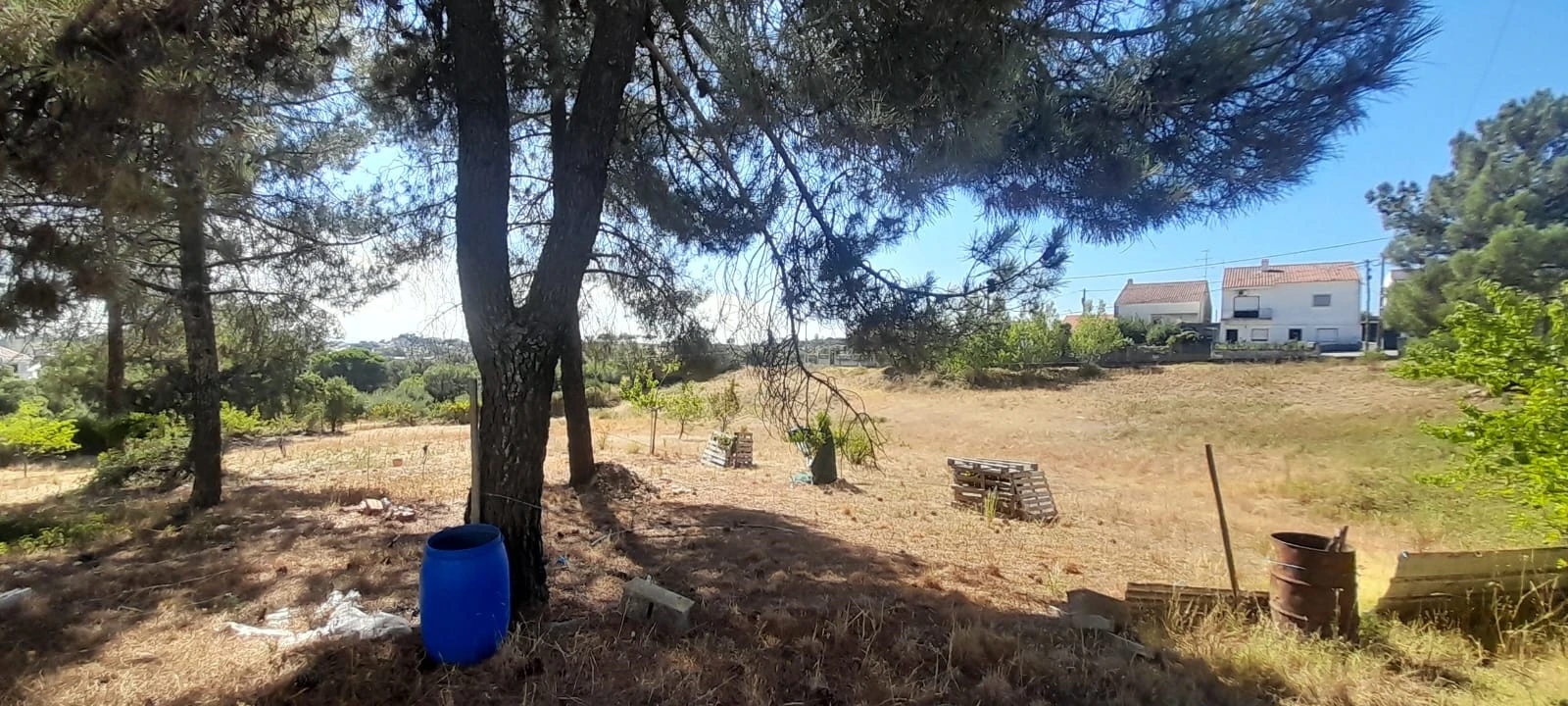 Armazém para Venda em Cebolais de Cima e Retaxo Foto 46