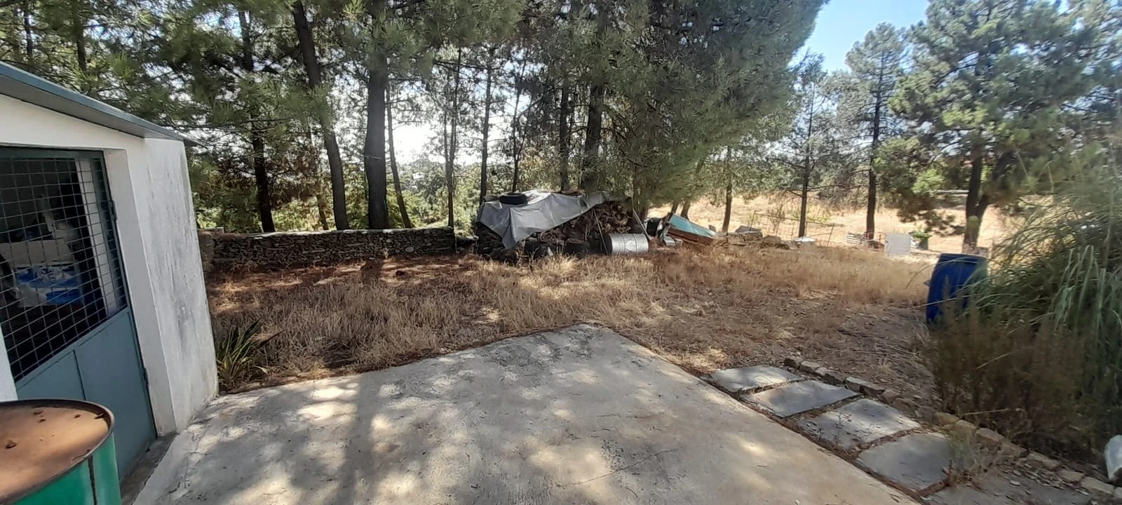 Armazém para Venda em Cebolais de Cima e Retaxo Foto 27
