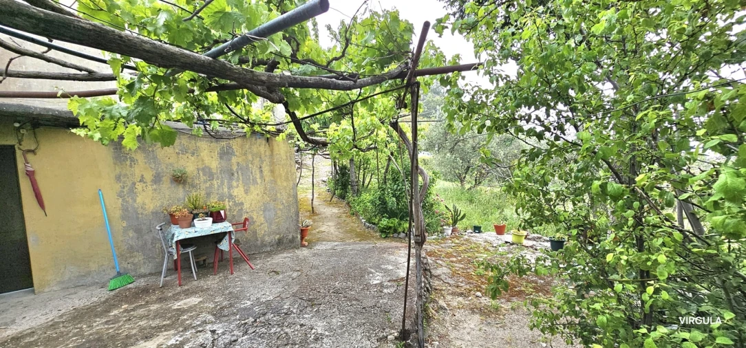 Moradia T4 para Venda em Covilhã e Canhoso Foto 19