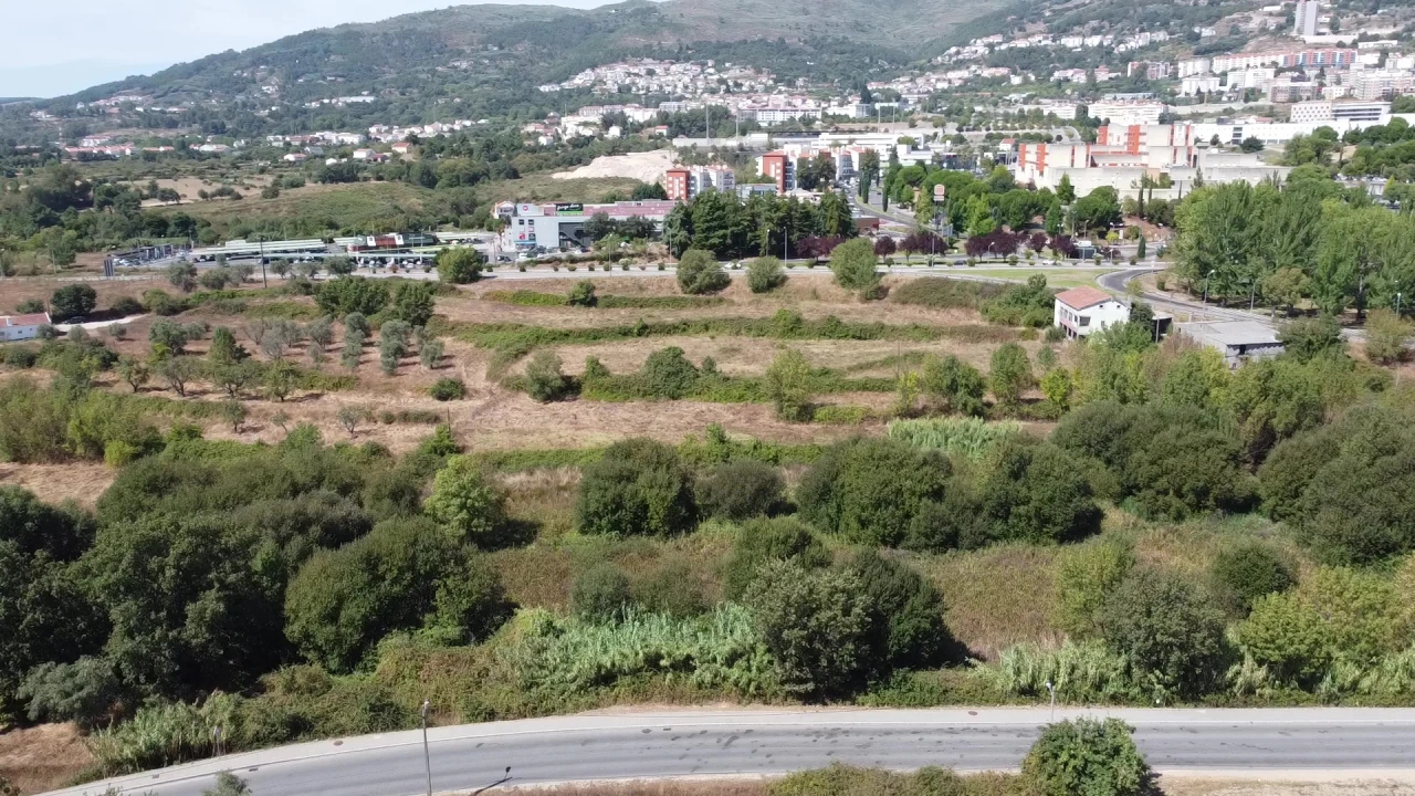Terreno para Venda em Boidobra Foto 12