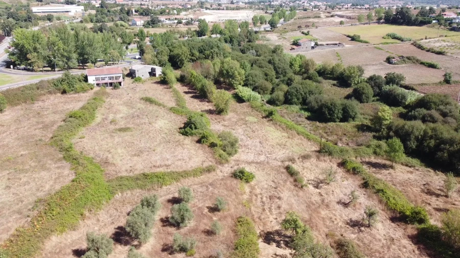 Terreno para Venda em Boidobra Foto 8