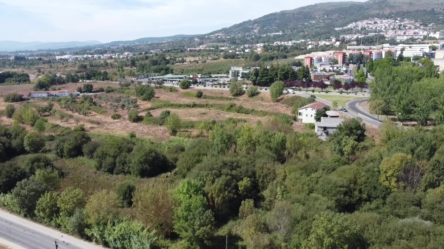 Terreno para Venda em Boidobra Foto 9