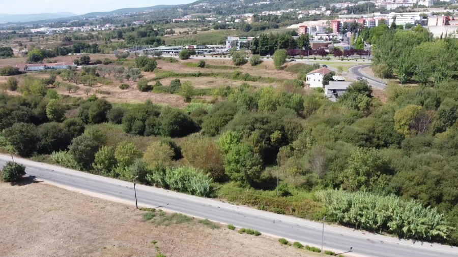 Terreno para Venda em Boidobra Foto 14