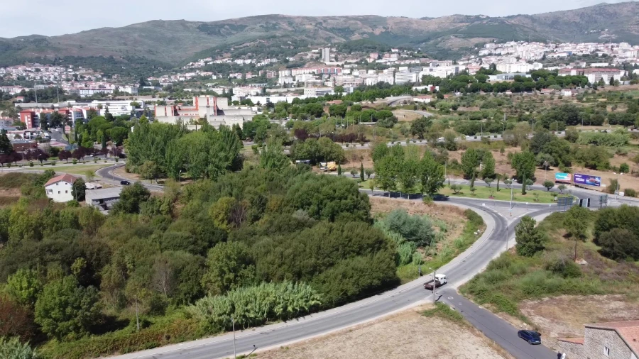 Terreno para Venda em Boidobra Foto 13