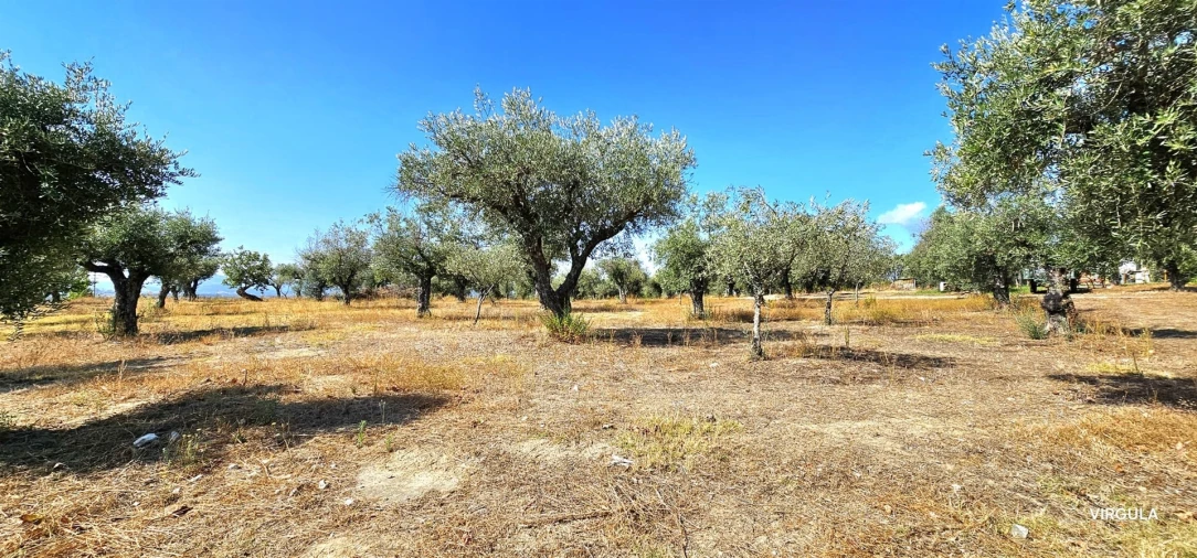 Quinta T3 para Venda em Alcaria Foto 9