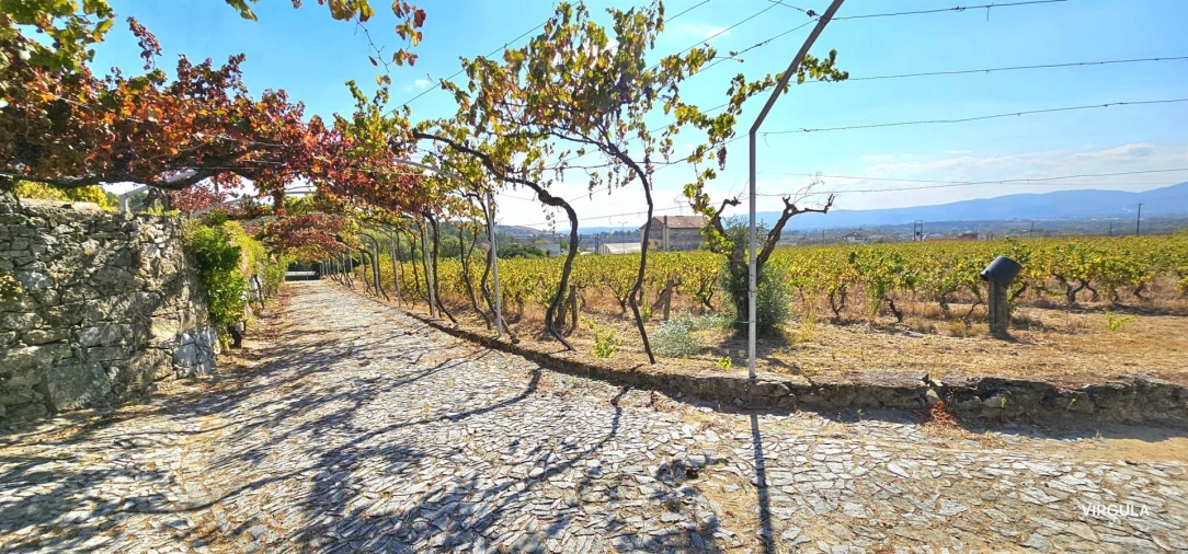 Quinta T3 para Venda em Alcaria Foto 8