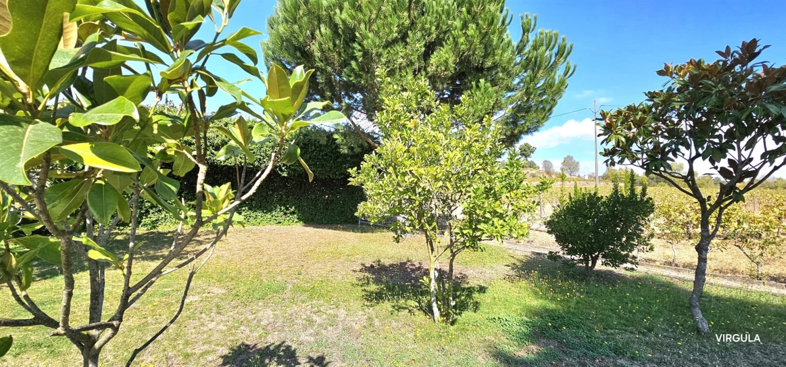 Quinta T3 para Venda em Alcaria Foto 4