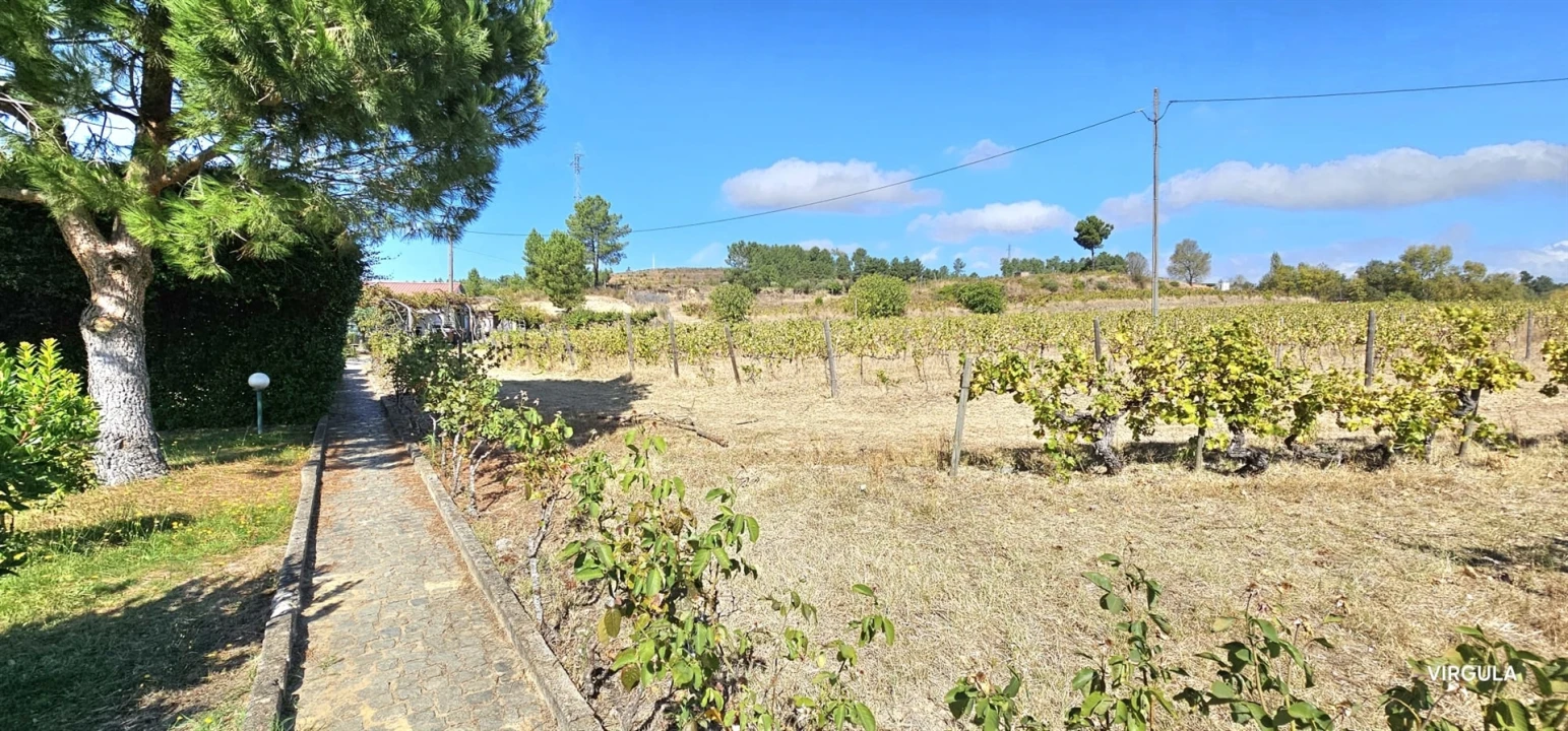 Quinta T3 para Venda em Alcaria Foto 5