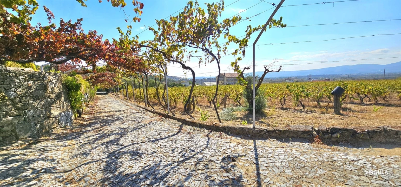 Quinta T3 para Venda em Alcaria Foto 7