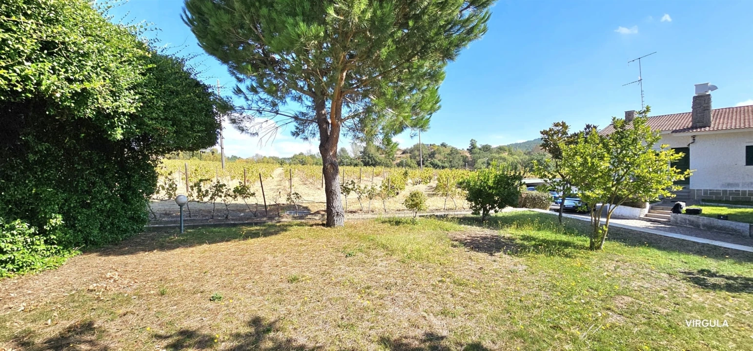 Quinta T3 para Venda em Alcaria Foto 3