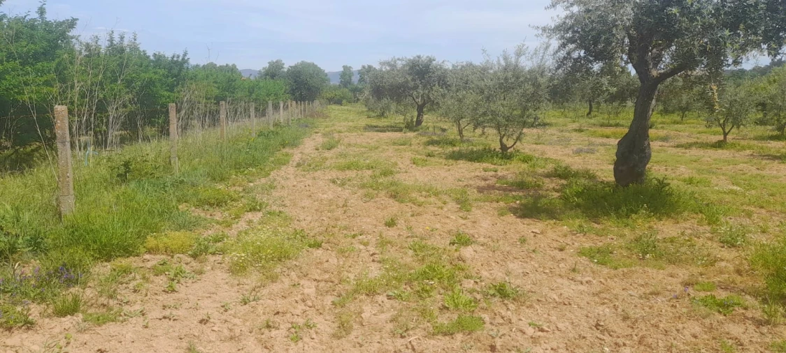 Quinta T2 para Venda em Alcaide Foto 16