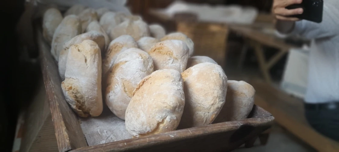 Quinta T2 para Venda em Alcaide Foto 14