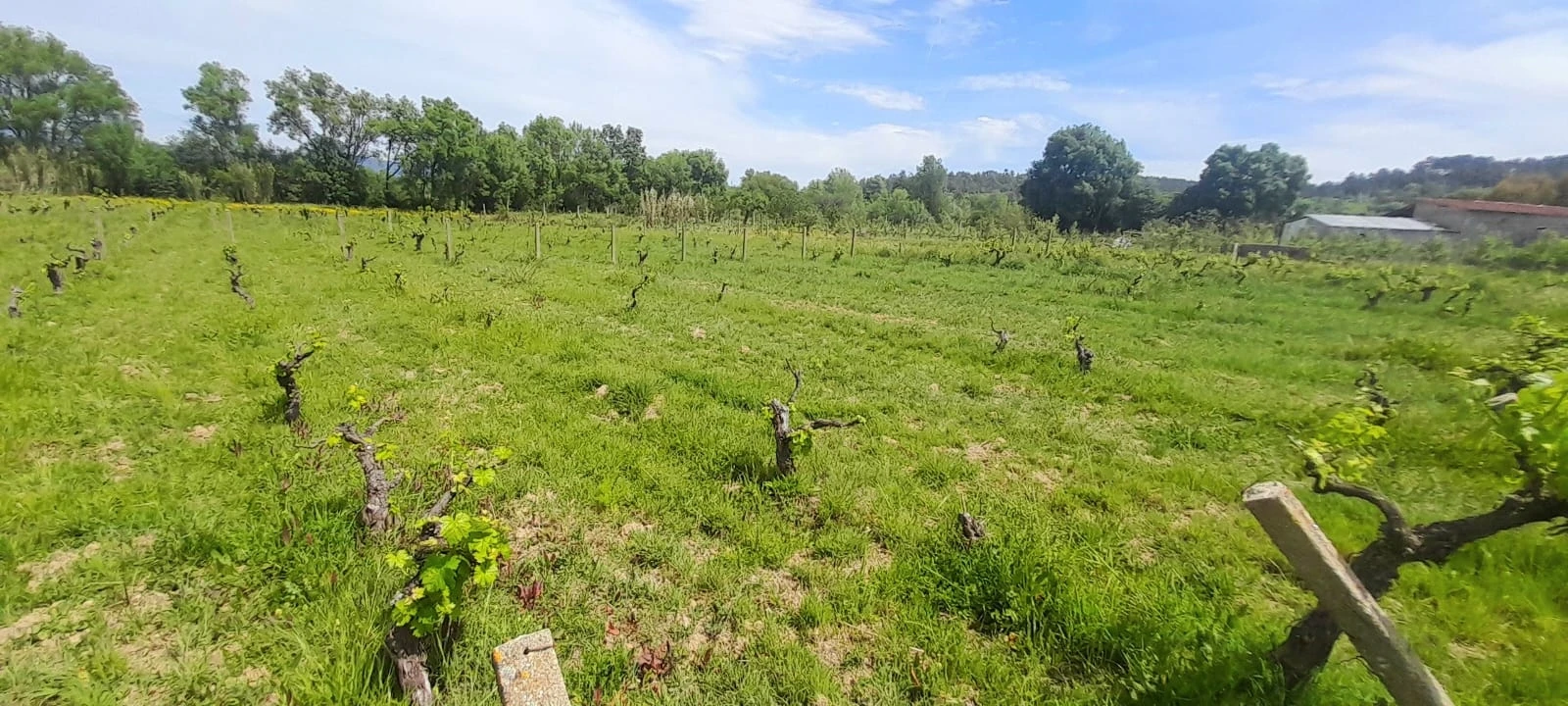 Quinta T2 para Venda em Alcaide Foto 17