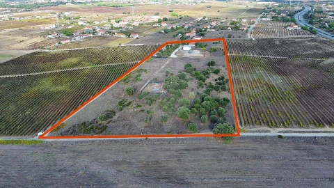 Terreno para Venda em Palmela
