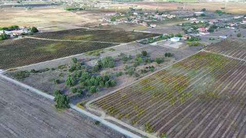 Terreno para Venda em Palmela