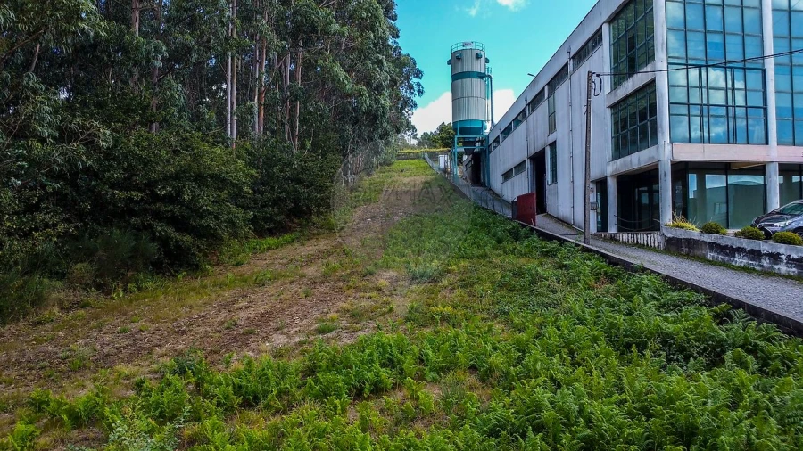 Terreno para Venda em Frazão Arreigada Foto 5