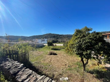 Terreno para Venda em Ceira