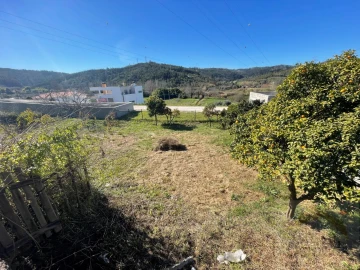 Terreno para Venda em Ceira