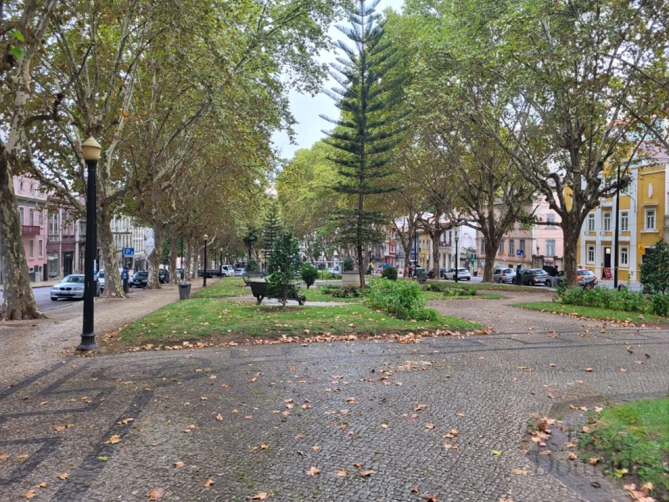 Loja para Venda em Sé Nova, Santa Cruz, Almedina e São Bartolomeu Foto 14