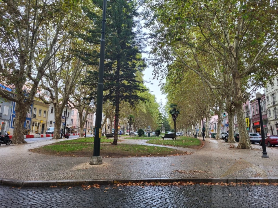 Loja para Venda em Sé Nova, Santa Cruz, Almedina e São Bartolomeu Foto 15