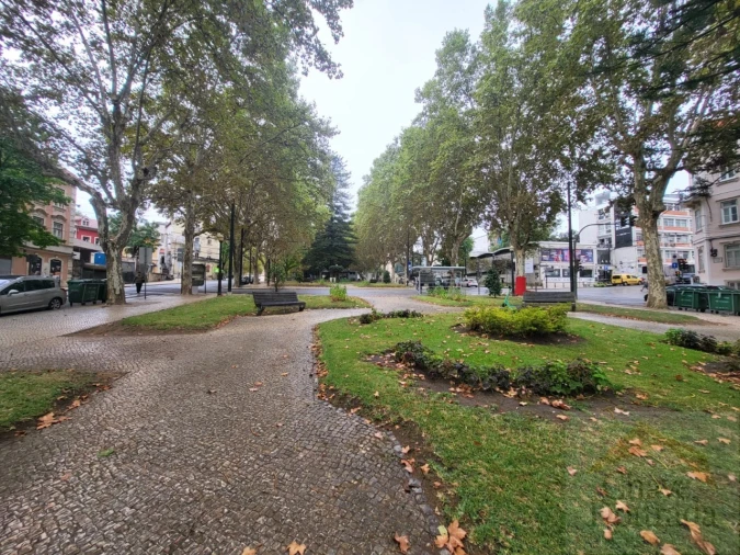 Loja para Venda em Sé Nova, Santa Cruz, Almedina e São Bartolomeu Foto 12