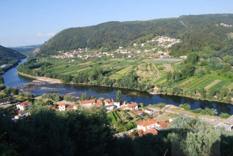 Prédio para Venda em Penacova