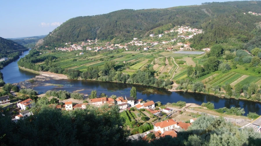 Prédio para Venda em Penacova