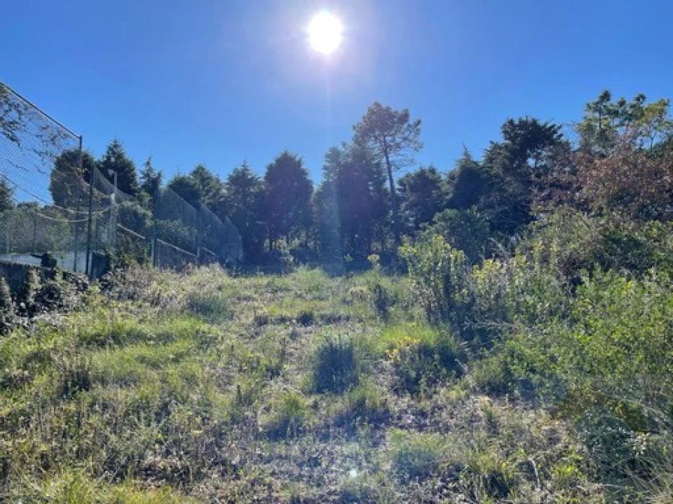 Terreno para Venda em Assafarge e Antanhol Foto 8