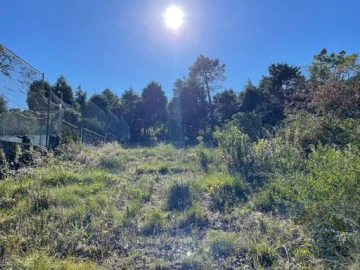 Terreno para Venda em Assafarge e Antanhol