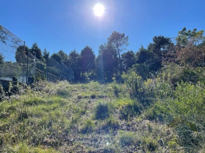 Terreno para Venda em Assafarge e Antanhol Foto 8