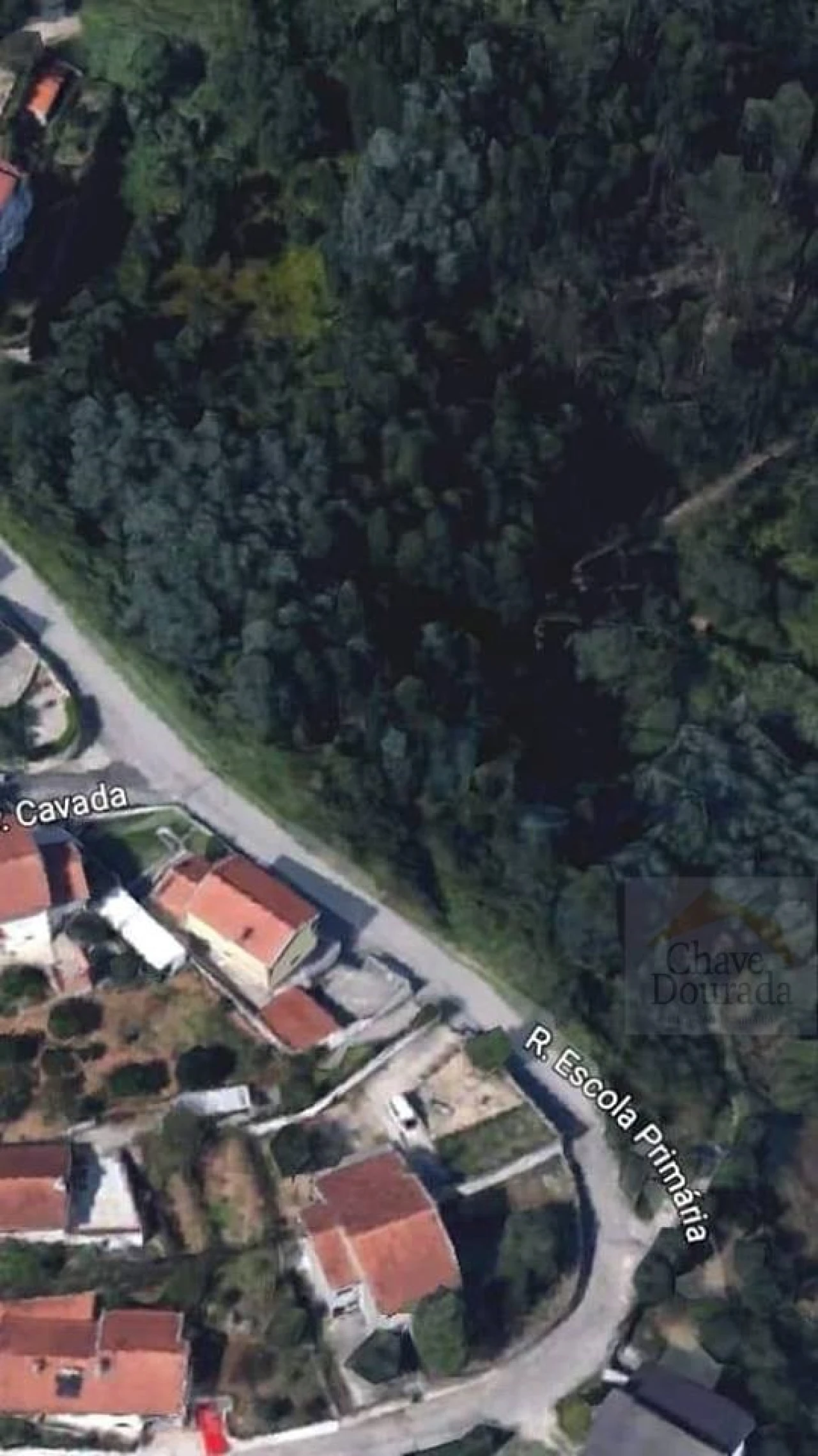 Terreno Agricola ou Rústico para Venda em Torres do Mondego Foto 3