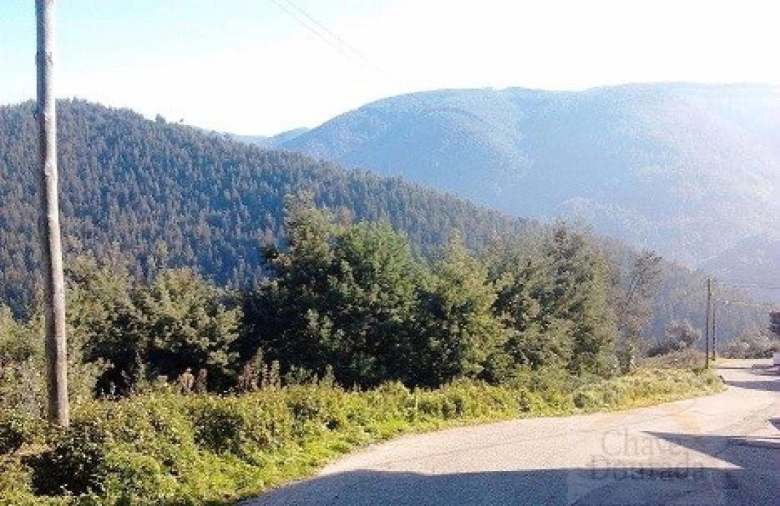 Terreno Agricola ou Rústico para Venda em Torres do Mondego Foto 1