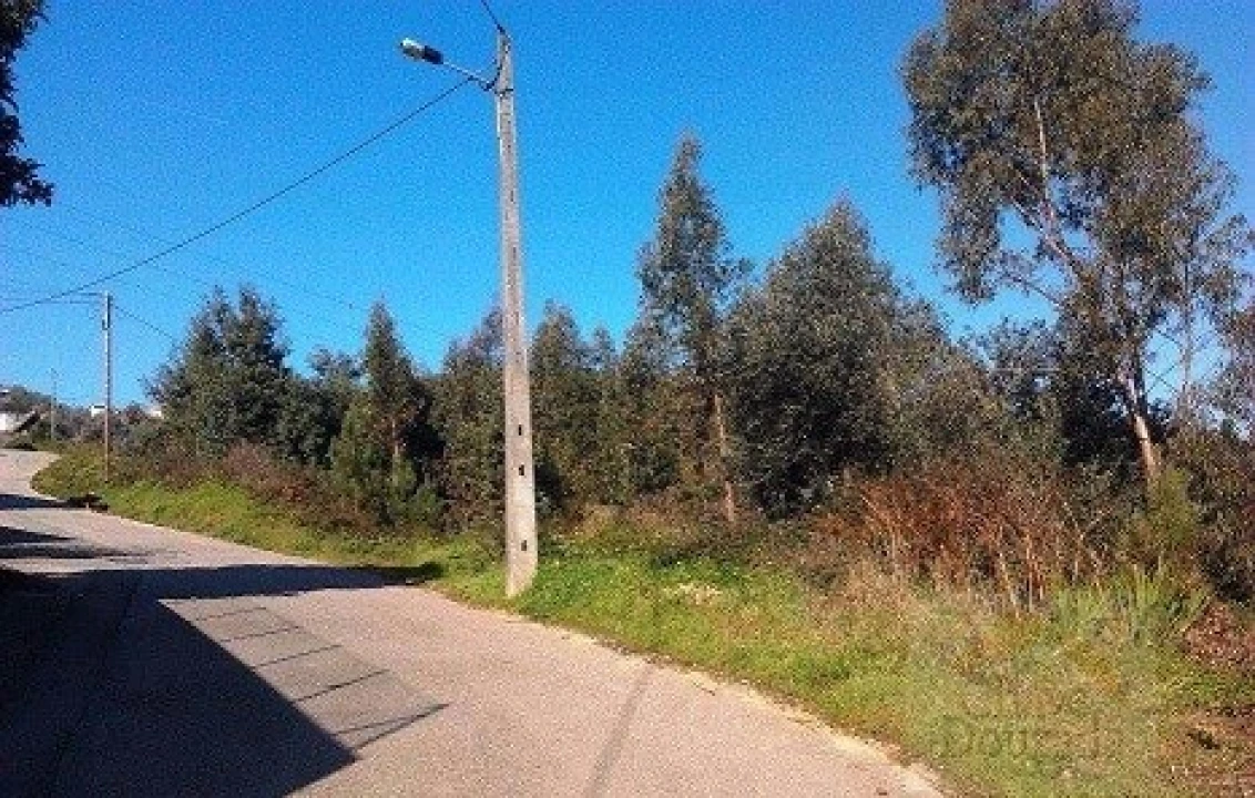 Terreno Agricola ou Rústico para Venda em Torres do Mondego Foto 2