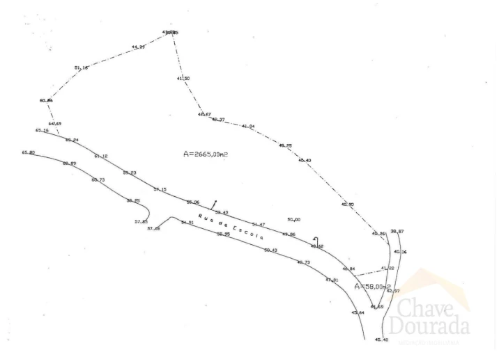 Terreno Agricola ou Rústico para Venda em Torres do Mondego Foto 4