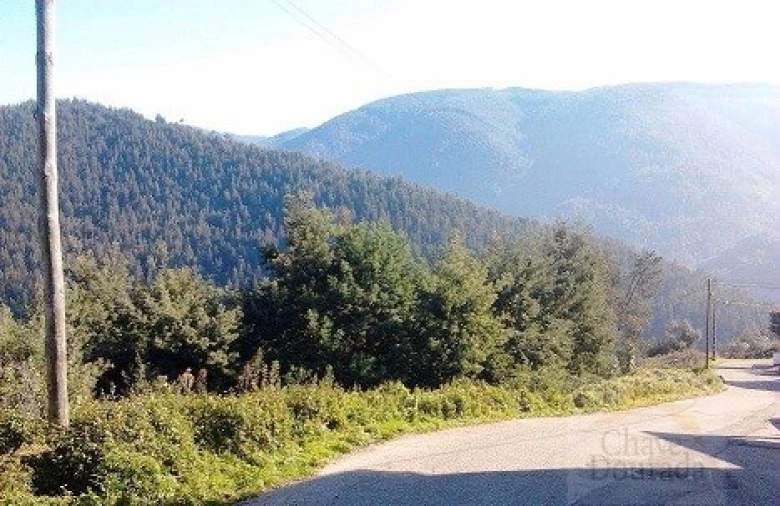 Terreno Agricola ou Rústico para Venda em Torres do Mondego Foto 1