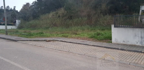 Terreno para Venda em Eiras e São Paulo de Frades