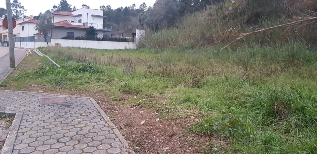 Terreno para Venda em Eiras e São Paulo de Frades Foto 2