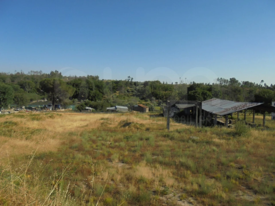 Armazém para Venda em Mangualde, Mesquitela e Cunha Alta Foto 1