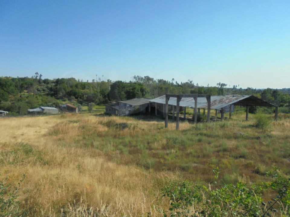 Armazém para Venda em Mangualde, Mesquitela e Cunha Alta Foto 2