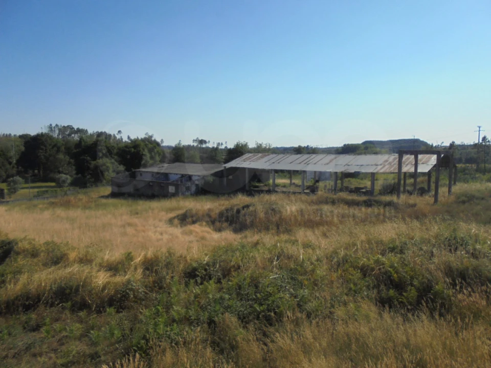 Armazém para Venda em Mangualde, Mesquitela e Cunha Alta Foto 7