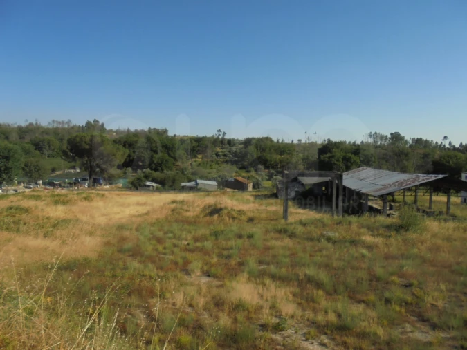 Armazém para Venda em Mangualde, Mesquitela e Cunha Alta