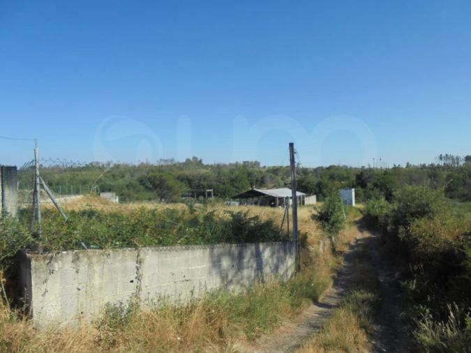 Armazém para Venda em Mangualde, Mesquitela e Cunha Alta Foto 4