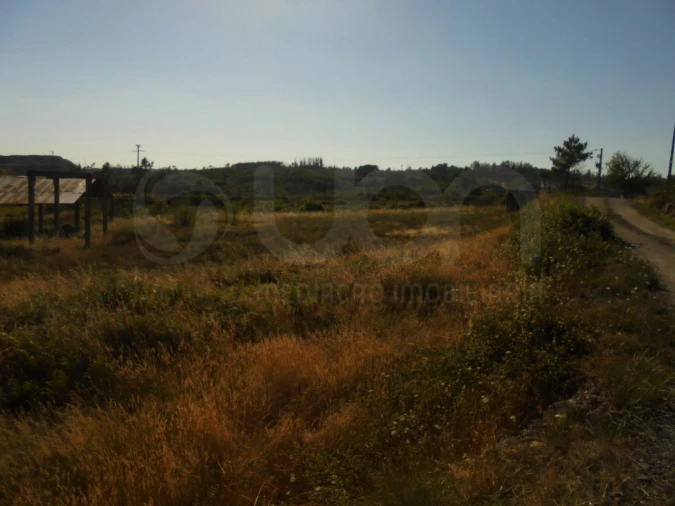 Armazém para Venda em Mangualde, Mesquitela e Cunha Alta Foto 5