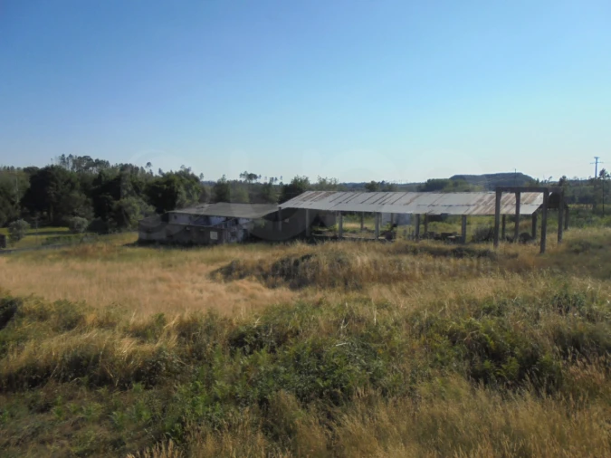Armazém para Venda em Mangualde, Mesquitela e Cunha Alta Foto 7