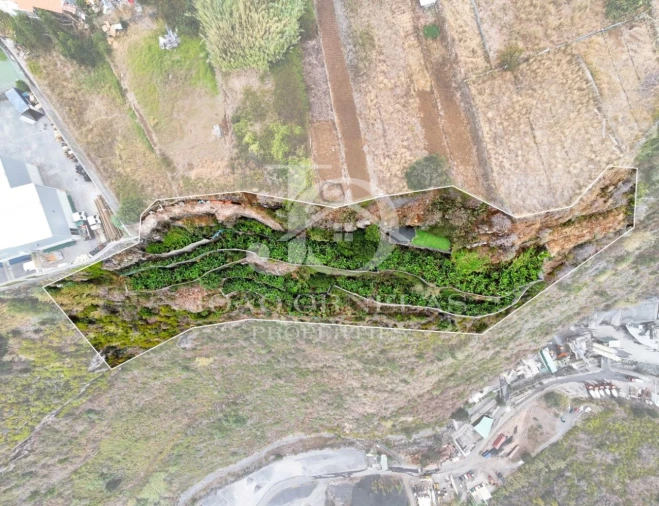 Terreno para Venda em Caniço Foto 3