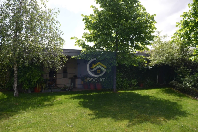 Moradia T3 para Venda em Campo e Sobrado Foto 22