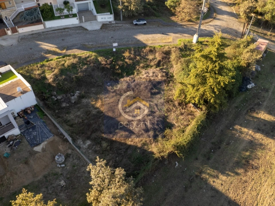 Terreno para Venda em Fregim Foto 7