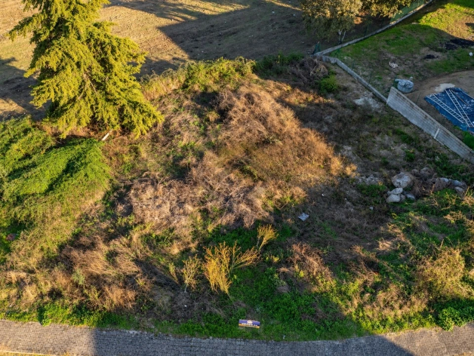 Terreno para Venda em Fregim Foto 17