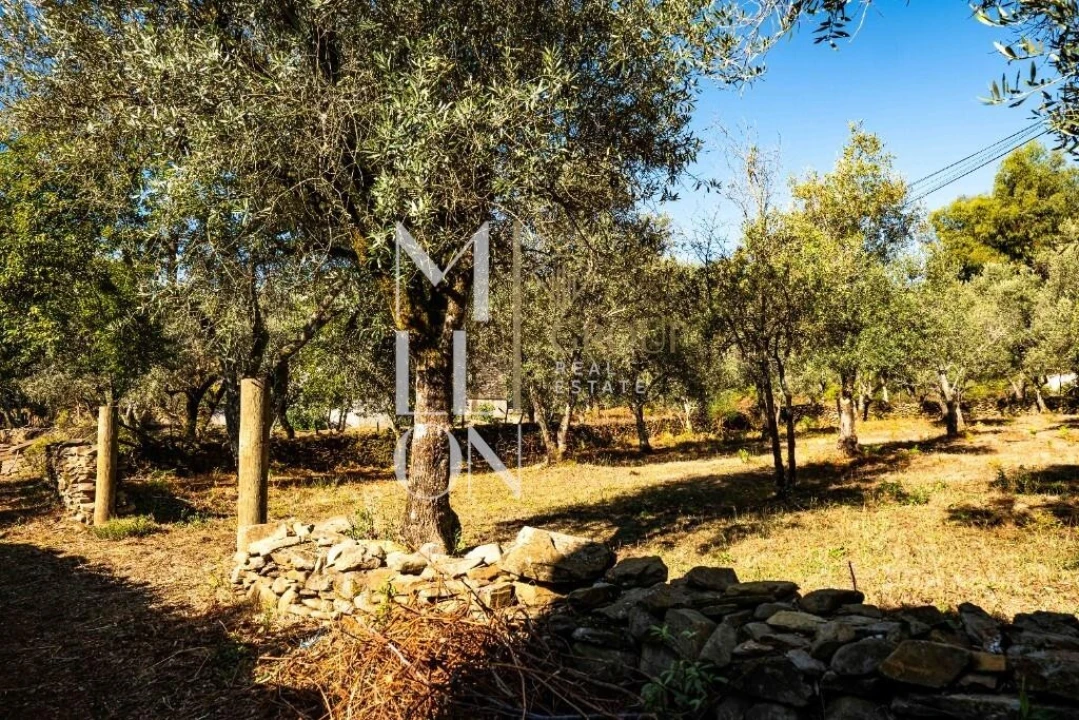 Terreno para Venda em Castanheira de Pêra e Coentral Foto 14